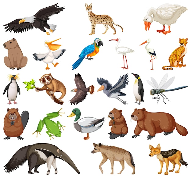 Colección de diferentes tipos de animales.