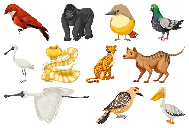Colección de diferentes tipos de animales.