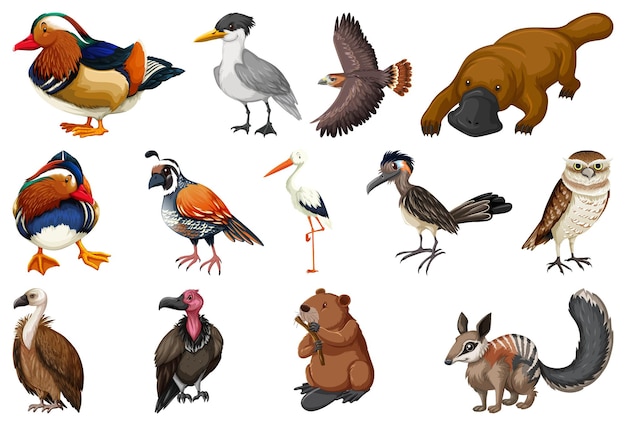 Vector gratuito colección de diferentes tipos de animales.