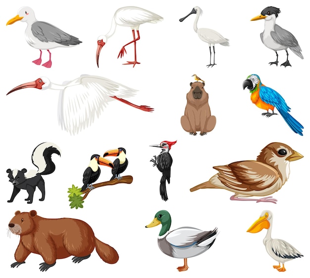 Vector gratuito colección de diferentes tipos de animales.