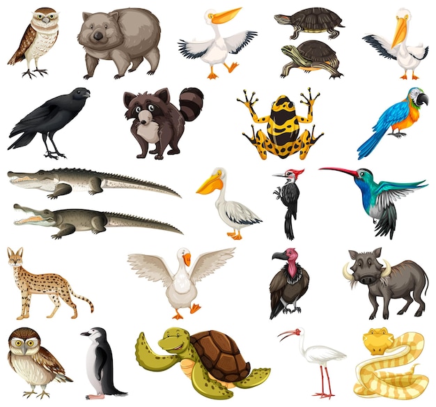 Vector gratuito colección de diferentes tipos de animales.