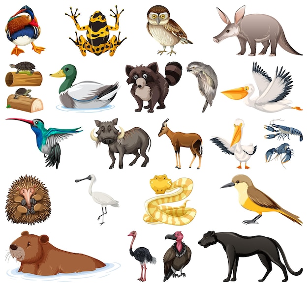 Colección de diferentes tipos de animales.