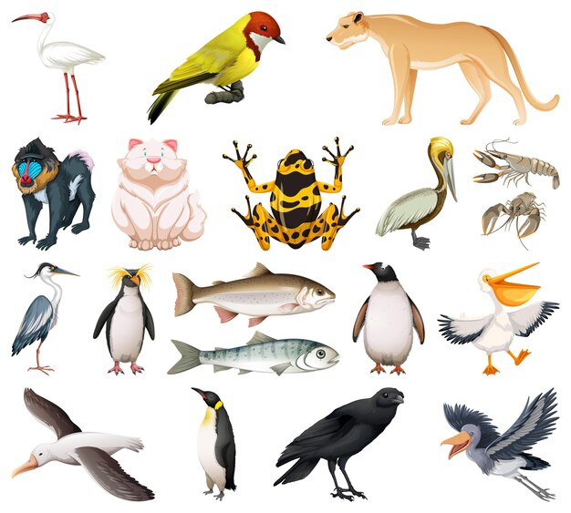Colección de diferentes tipos de animales.