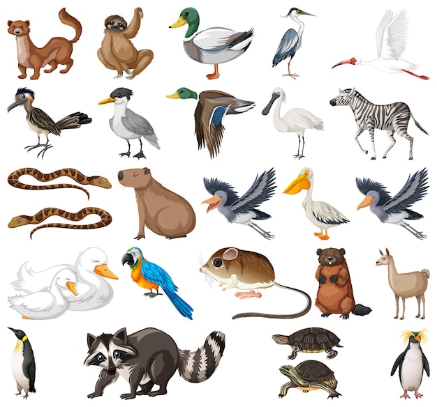 Vector gratuito colección de diferentes tipos de animales.