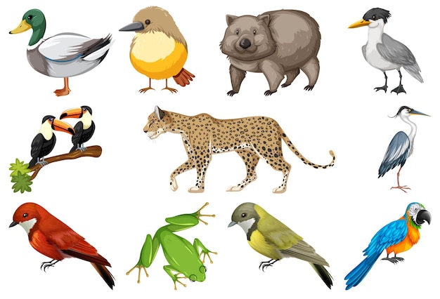 Vector gratuito colección de diferentes tipos de animales.