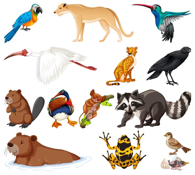 Vector gratuito colección de diferentes tipos de animales.