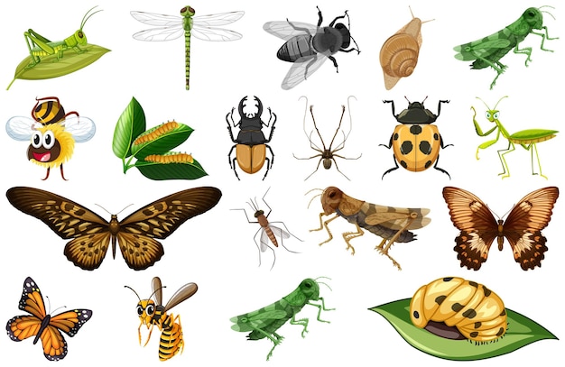 Vector gratuito colección de diferentes tipos de insectos.