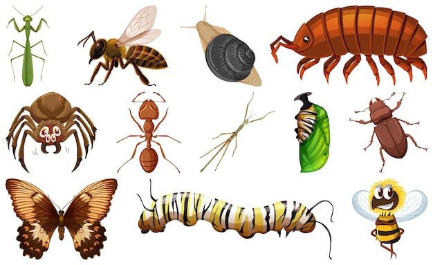 Vector gratuito colección de diferentes tipos de insectos.