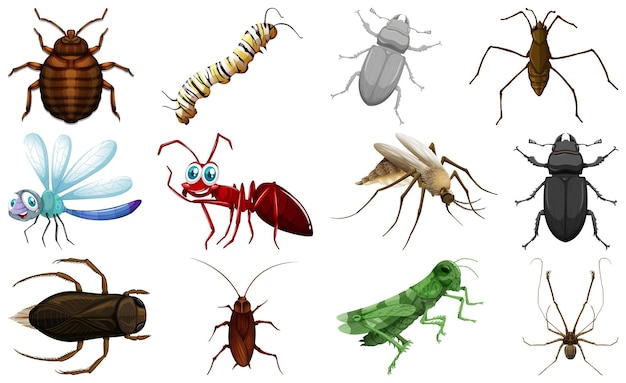Vector gratuito colección de diferentes tipos de insectos.