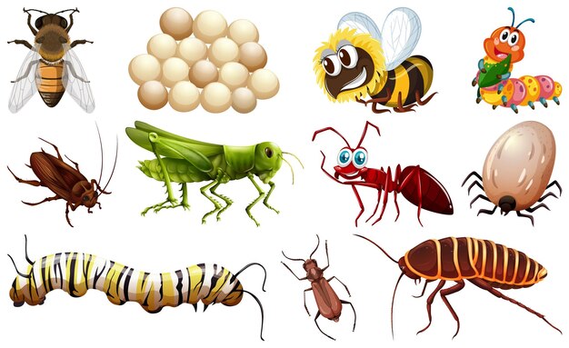 Colección de diferentes tipos de insectos.