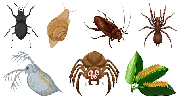 Colección de diferentes vectores de insectos.