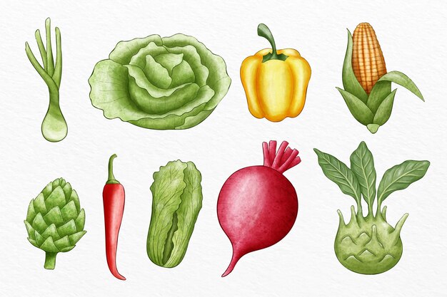 Colección de diferentes verduras ilustradas.