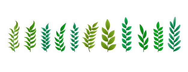 Colección de diseño de hojas de pino realista para la ilustración de vector de decoración de Navidad