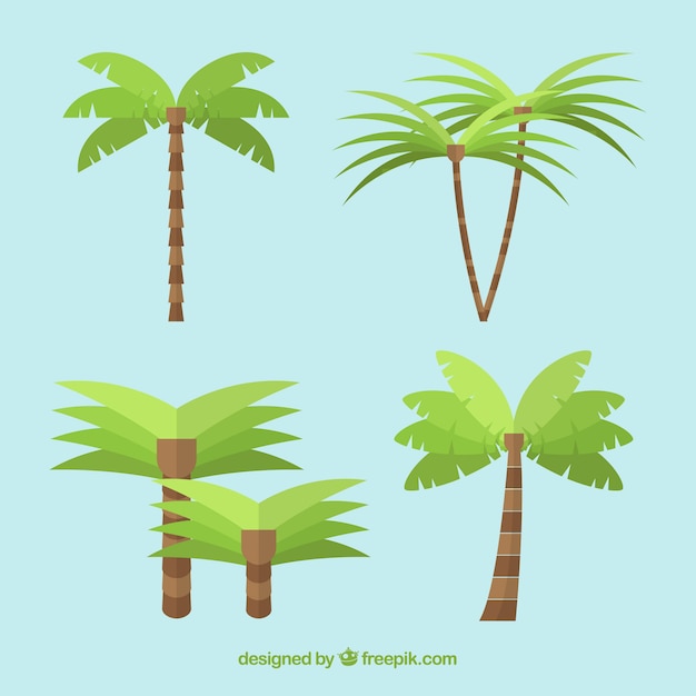 Vector gratuito colección de diseño de palmeras tropicales