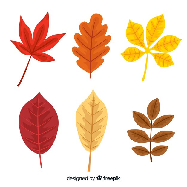 Colección de diseño plano de hojas de otoño
