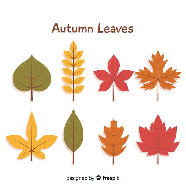 Colección de diseño plano de hojas de otoño