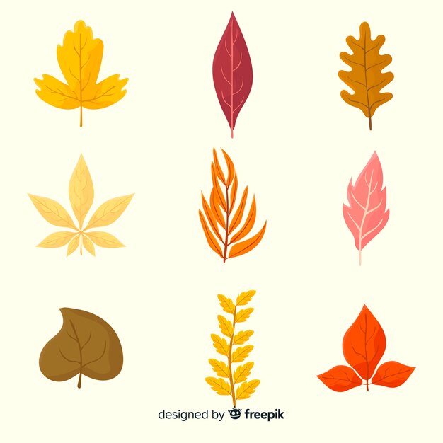 Colección de diseño plano de hojas de otoño