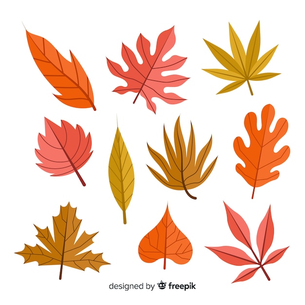 Colección de diseño plano de hojas de otoño