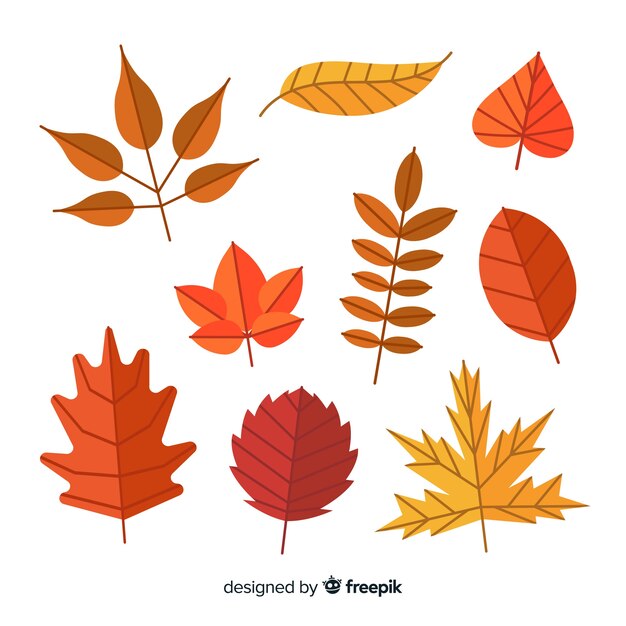 Colección de diseño plano de hojas de otoño