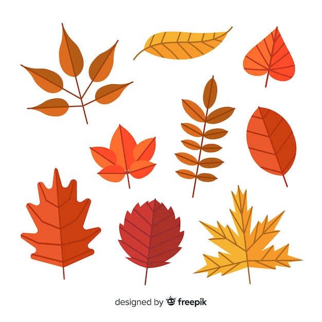 Colección de diseño plano de hojas de otoño