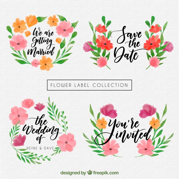 Colección de diseños de boda