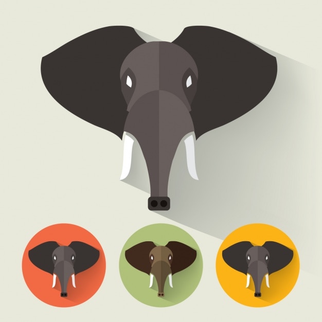 Vector gratuito colección de diseños de elefante