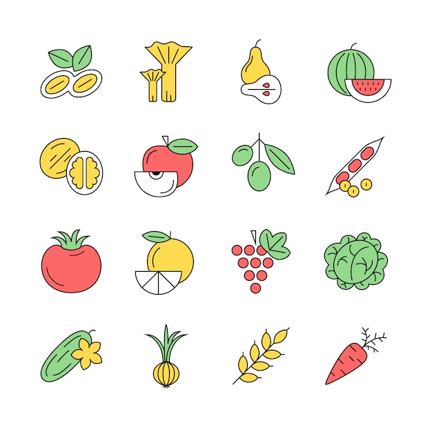 Colección de diseños de verduras