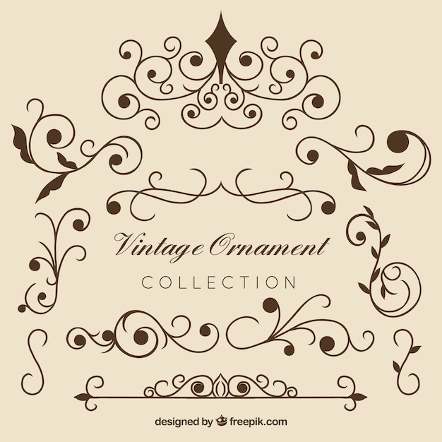 Vector gratuito colección elegante de adornos vintage