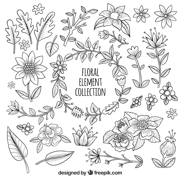 Colección elegante de elementos florales dibujados a mano