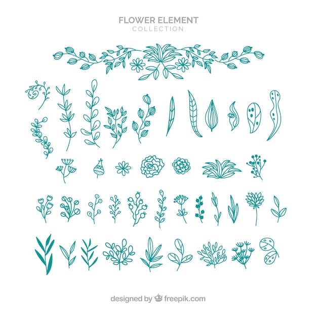 Colección elegante de elementos florales dibujados a mano