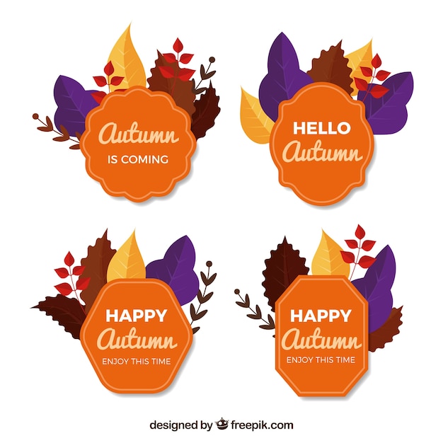 Vector gratuito colección elegante de insignias de otoño con diseño plano