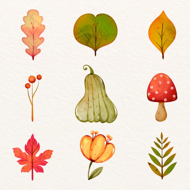 Vector gratuito colección de elementos de acuarela para la celebración de otoño