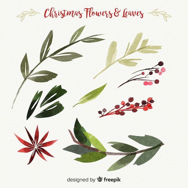 Colección de elementos de acuarelas decorativos navideños con hojas y flores