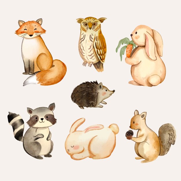 Colección de elementos de animales del bosque de acuarela