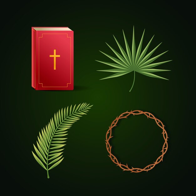 Colección de elementos de diseño realistas para Palm Sunday.