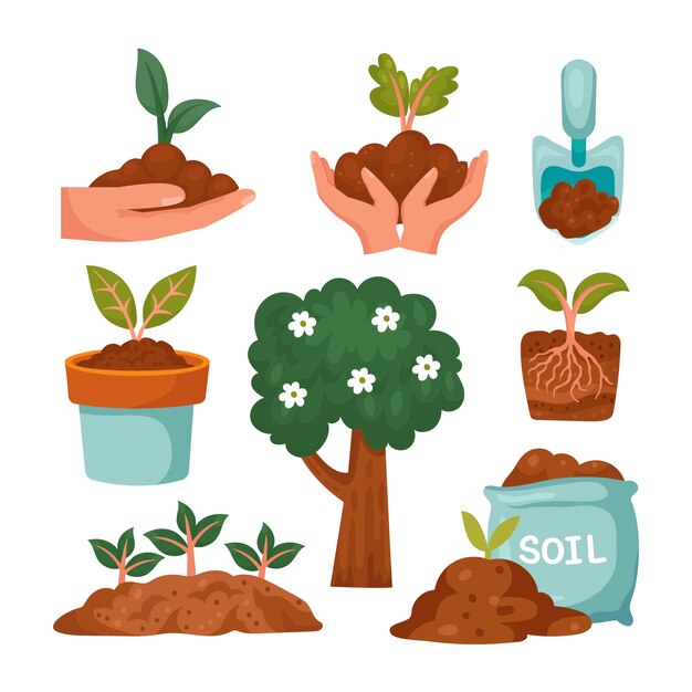 Colección de elementos de diseño de tu bishvat plano