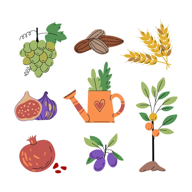 Colección de elementos de diseño de tu bishvat plano