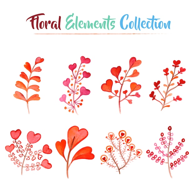 Colección de elementos florales en acuarela