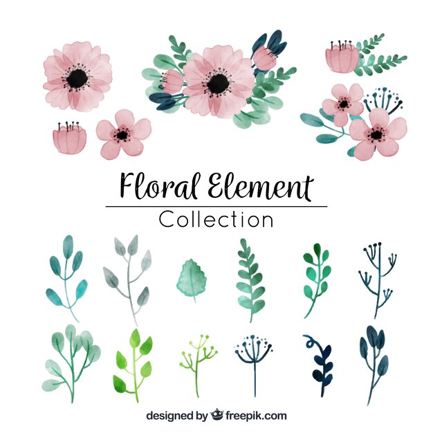 Colección de elementos florales en acuarela