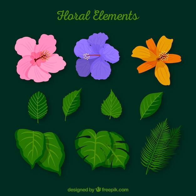 Colección de elementos florales adorables con diseño plano