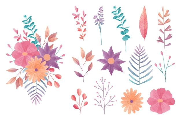 Colección de elementos florales coloridos en acuarela