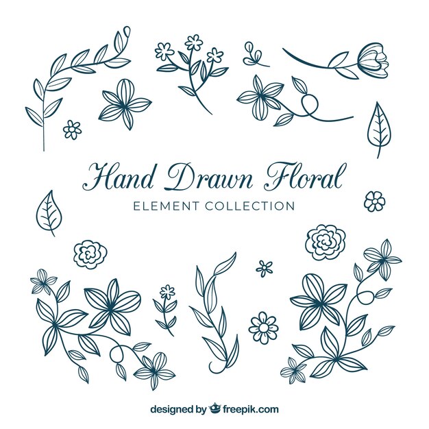 Colección de elementos florales dibujados a mano