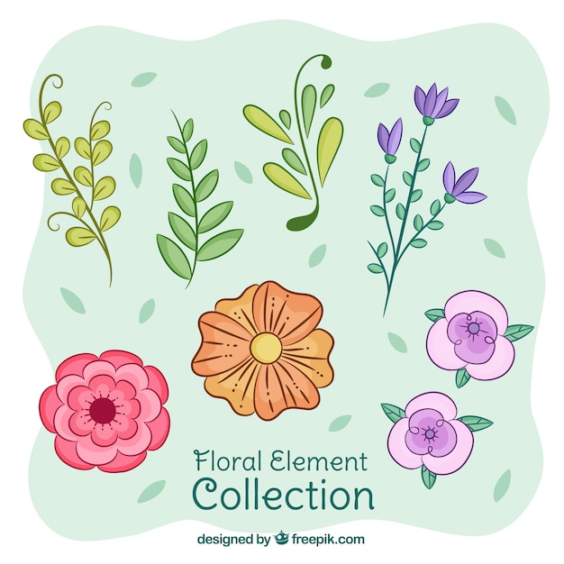 Vector gratuito colección de elementos florales dibujados a mano