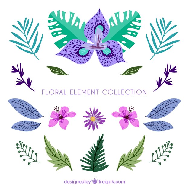 Colección de elementos florales con diseño plano