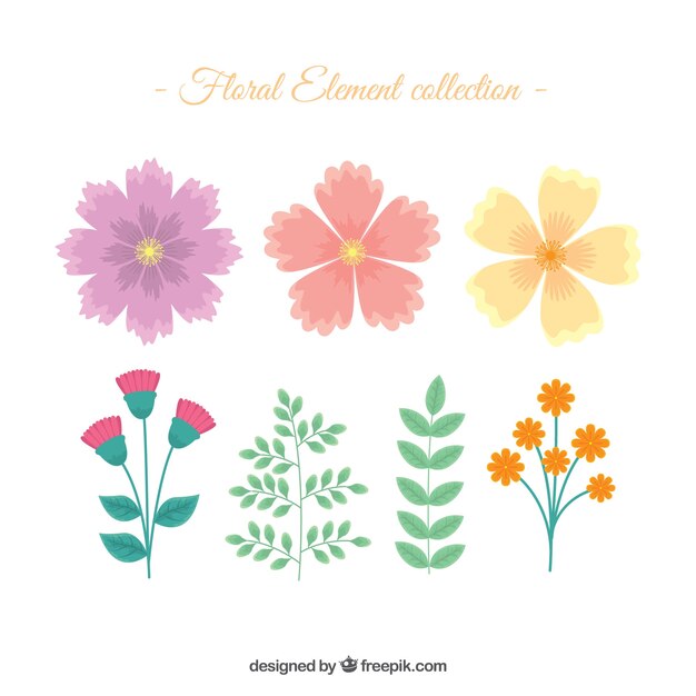 Colección de elementos florales con diseño plano