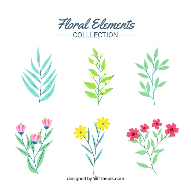 Colección de elementos florales elegantes con diseño plano