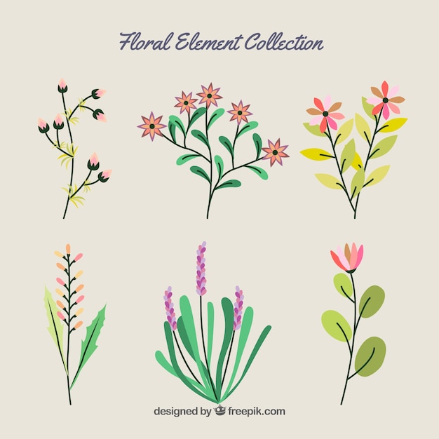 Colección de elementos florales elegantes con diseño plano