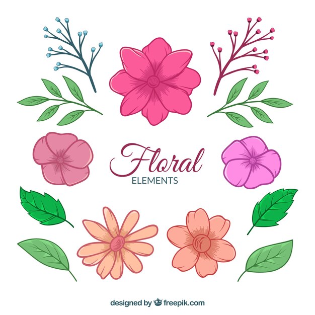 Colección de elementos florales con especies diferentes