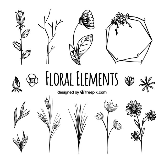 Colección de elementos florales con especies diferentes