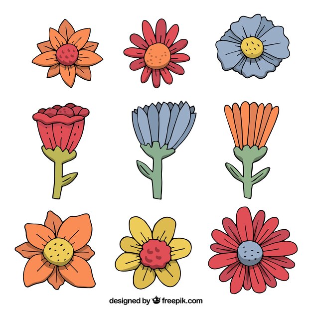 Colección de elementos florales con especies diferentes
